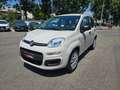 Fiat Panda 0.9 twinair natural power NEOPATENTATI PERMUTE Beige - thumbnail 7