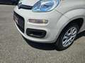 Fiat Panda 0.9 twinair natural power NEOPATENTATI PERMUTE Beige - thumbnail 8
