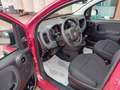 Fiat Panda 1.0 FIREFLY HYBRID 70cv + RADIO BLUETOOTH Rosso - thumbnail 5
