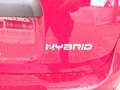 Fiat Panda 1.0 FIREFLY HYBRID 70cv + RADIO BLUETOOTH Rosso - thumbnail 4