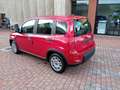 Fiat Panda 1.0 FIREFLY HYBRID 70cv + RADIO BLUETOOTH Rosso - thumbnail 2