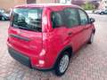 Fiat Panda 1.0 FIREFLY HYBRID 70cv + RADIO BLUETOOTH Rosso - thumbnail 3
