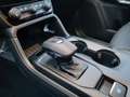 Ford Ranger Platinum 3,0d T-73 Rollo Standheizung LAGER Grau - thumbnail 15