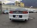 Ford Mustang RS - 3.7 Roush - 317cv - Allestimento Roush - thumbnail 5