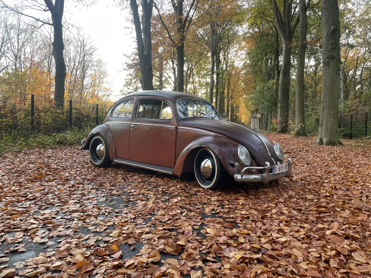Volkswagen Kever Ovaal 1956–Amerikaanse uitvoering, foto 9