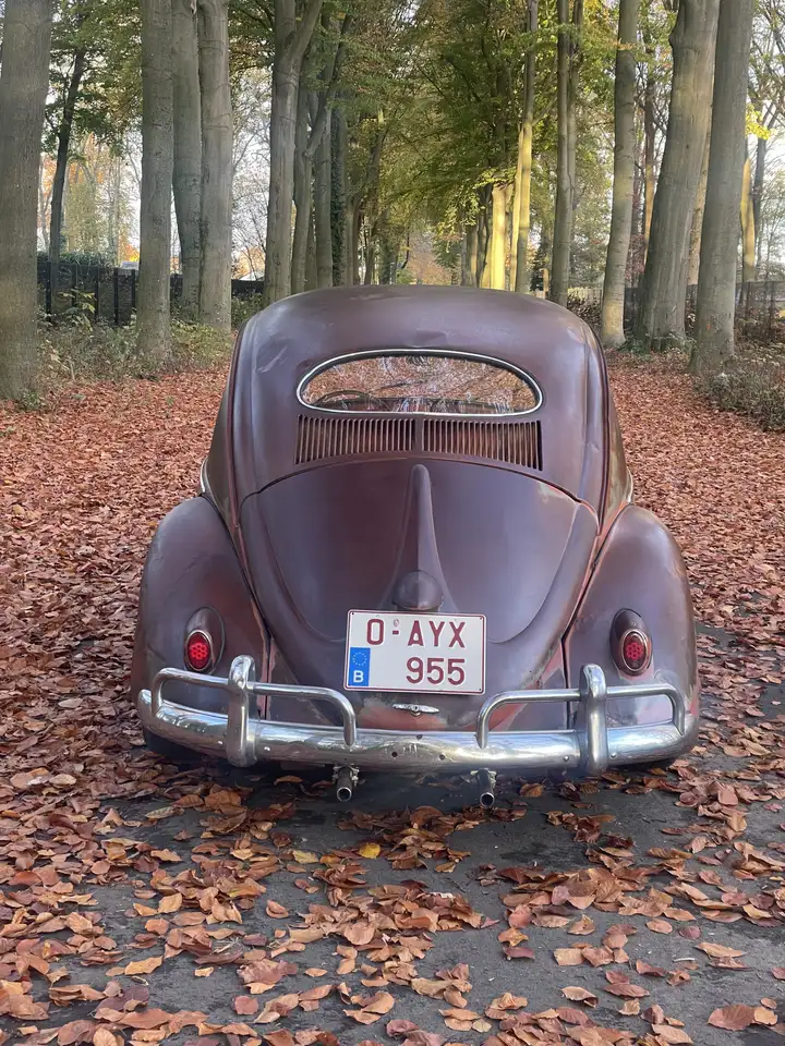 Volkswagen Kever Ovaal 1956–Amerikaanse uitvoering, foto 7