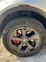 Land Rover Discovery Sport 2,0 D150 S HSE AWD Aut. Panorama - thumbnail 17