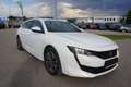 Peugeot 508 1.5 BlueHDi 130 SW Allure Weiß - thumbnail 8
