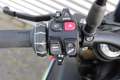 BMW S 1000 R Zilver - thumbnail 18