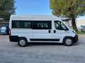 Fiat Ducato 35 3.0 Natural Power PM-TM Panorama Blanc - thumbnail 4