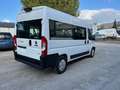 Fiat Ducato 35 3.0 Natural Power PM-TM Panorama Blanc - thumbnail 5