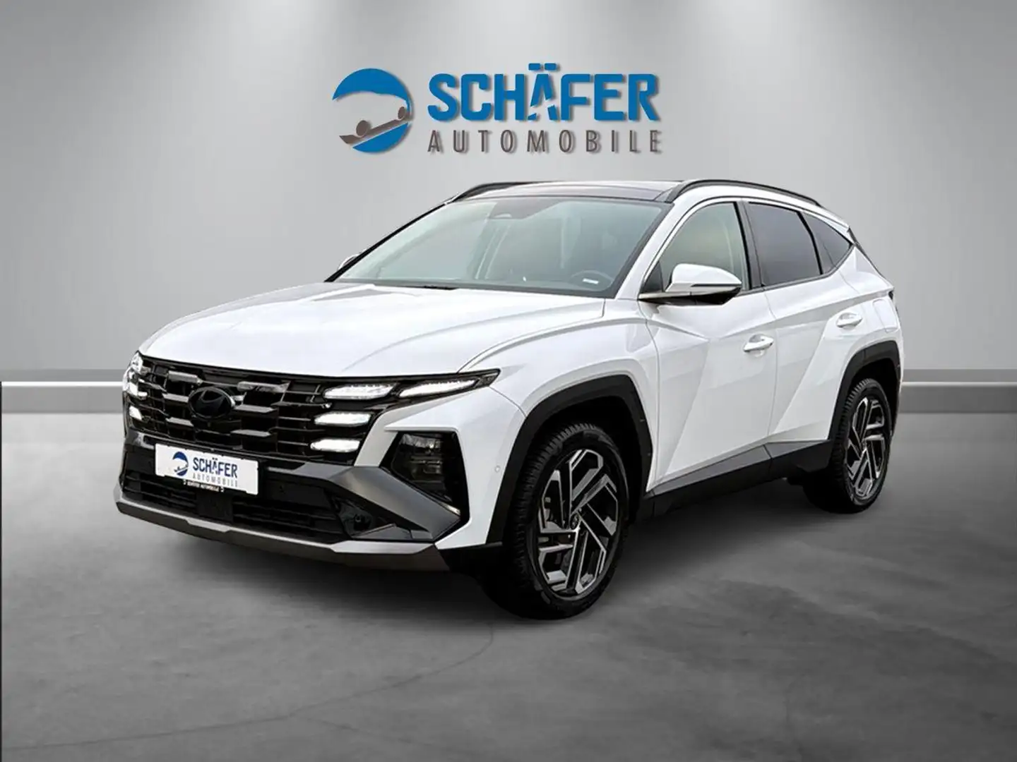 Hyundai TUCSON 1.6 HEV Prime 4WD #PANO #360° #ASSIST Wit - 1