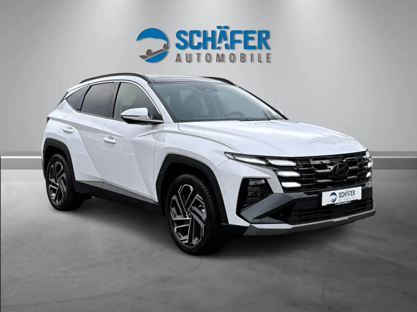 Hyundai TUCSON 1.6 HEV Prime 4WD #PANO #360° #ASSIST Wit - 2