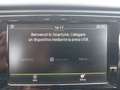 Skoda Octavia Octavia Wagon 1.6 tdi Style 110cv dsg my17 Grigio - thumbnail 11