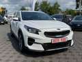 Kia XCeed Spirit KAMERA|LED|JBL|SHZ4x Weiß - thumbnail 7