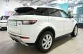 Land Rover Range Rover Evoque Aut. SE Dynamic Leder+Pano Weiß - thumbnail 5