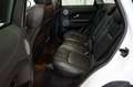 Land Rover Range Rover Evoque Aut. SE Dynamic Leder+Pano Weiß - thumbnail 15
