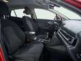 Kia Sportage 1.6 T-GDi MHEV 112kW (150CV) Drive 4X2 Rojo - thumbnail 14