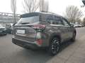 Subaru Forester 2.0ie e-BOXER Exclusive Schiebedach Braun - thumbnail 4