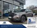 Subaru Forester 2.0ie e-BOXER Exclusive Schiebedach Braun - thumbnail 1