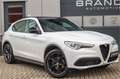Alfa Romeo Stelvio 2.0 Super Q4 Vol opties 280PK Veloce pack Pano H&K Wit - thumbnail 3