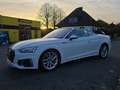 Audi A5 40 TDI S-tronic S line LEDER+SPORTS Weiß - thumbnail 17
