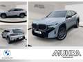 BMW XM Label Autobahnassistent AHK Massage H/K DA Prof. Gris - thumbnail 1