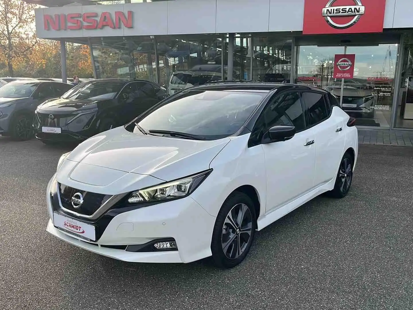 Nissan Leaf e+ 59kwh Tekna Leder/BOSE/ProPilot Bianco - 2