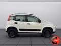 Fiat Panda 1.3 MJT 95 CV 4x4 SOLO 30.000 KM CERTIFICATI!E6B- Weiß - thumbnail 3