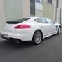 Porsche Panamera 4 PDK Blanco - thumbnail 7