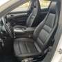 Porsche Panamera 4 PDK Blanco - thumbnail 17