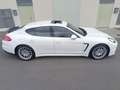 Porsche Panamera 4 PDK Blanco - thumbnail 6