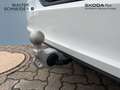 Skoda Superb Combi 1,5 TSI mHEV 150 PS Selection ACC A Weiß - thumbnail 17