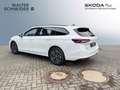 Skoda Superb Combi 1,5 TSI mHEV 150 PS Selection ACC A Weiß - thumbnail 4