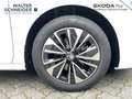 Skoda Superb Combi 1,5 TSI mHEV 150 PS Selection ACC A Weiß - thumbnail 7