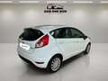 Ford Fiesta 1.25 Duratec 82cv Trend 5p Weiß - thumbnail 5