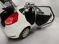 Ford Fiesta 1.25 Duratec 82cv Trend 5p Weiß - thumbnail 8