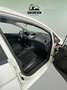 Ford Fiesta 1.25 Duratec 82cv Trend 5p Weiß - thumbnail 23