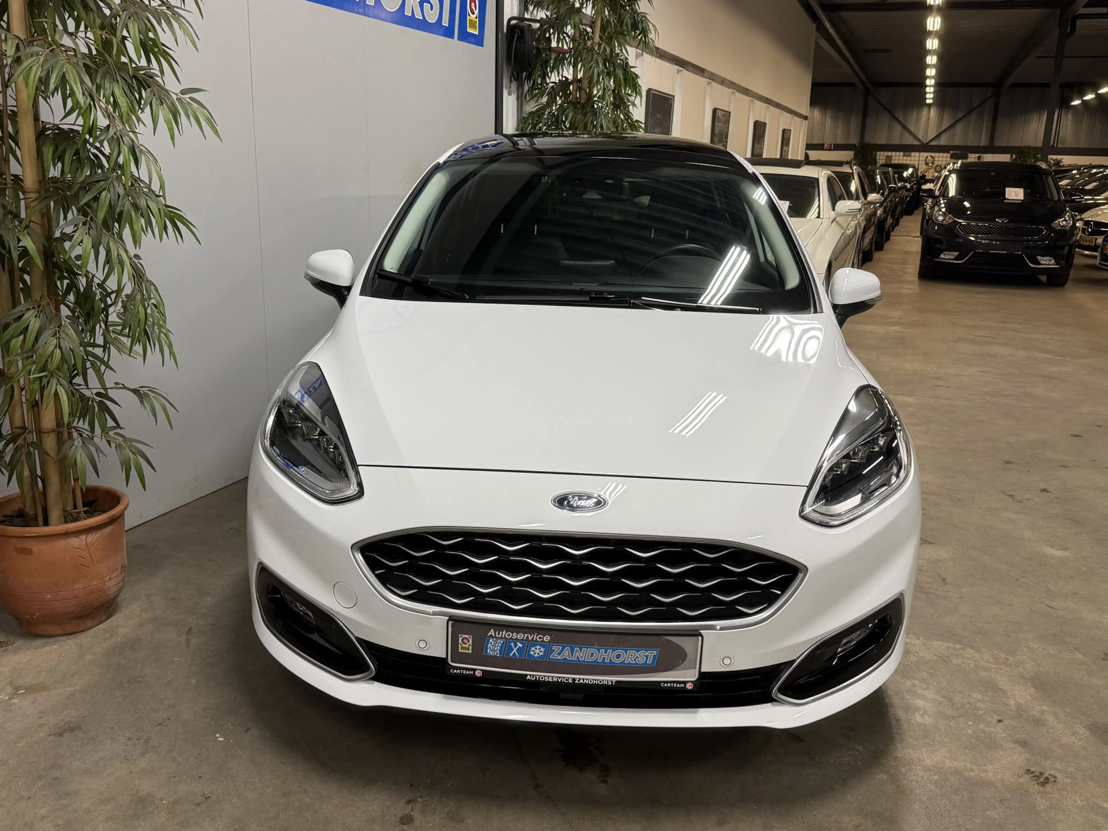 Ford Fiesta 1.0 EcoBoost Hybrid Vignale // Pano // Vol Led — photo 2