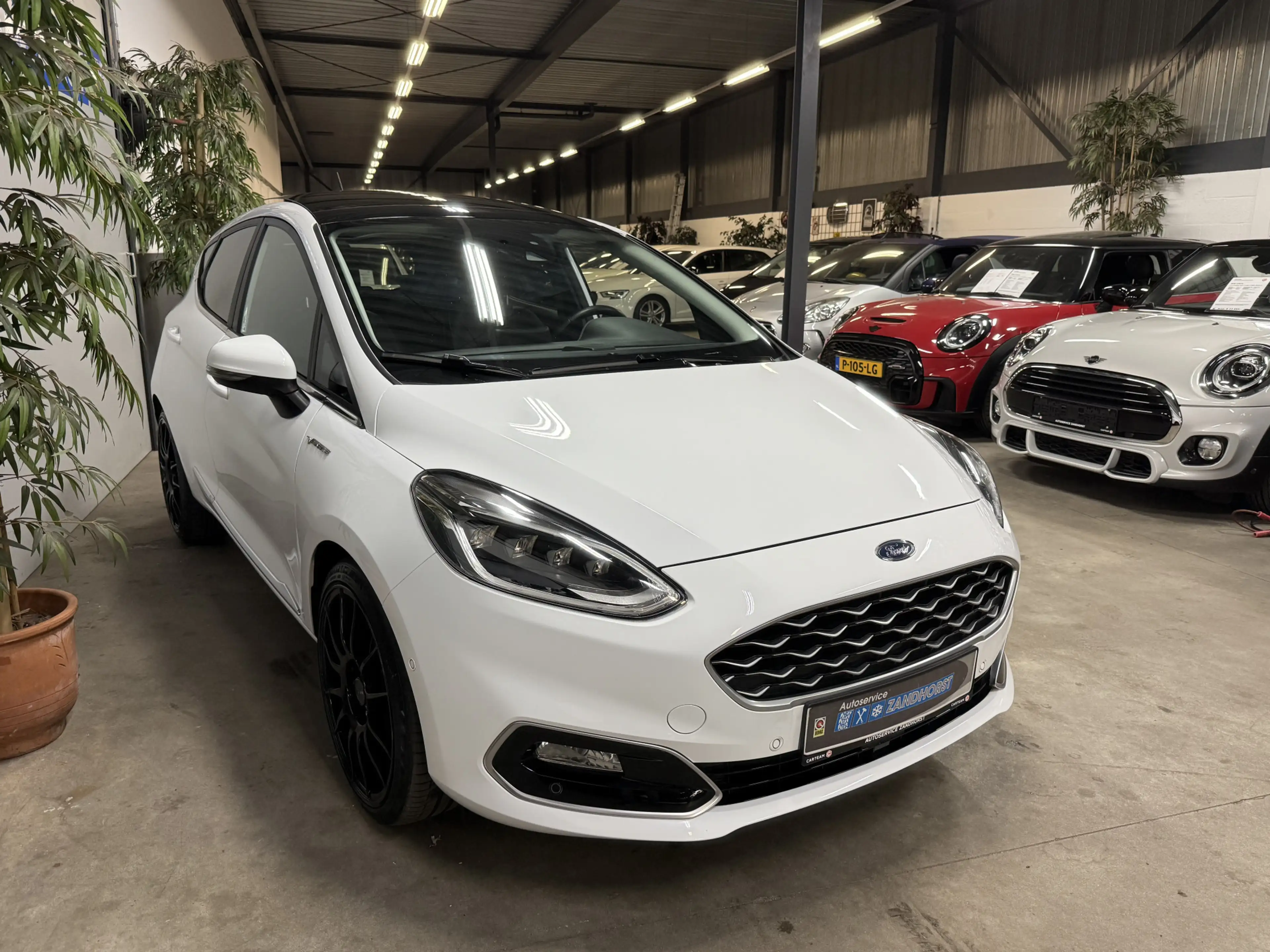 Ford Fiesta 1.0 EcoBoost Hybrid Vignale // Pano // Vol Led — photo 3