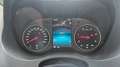 CS Reisemobile Cosmo 3.0 L V6 4x4-Autom-Xen-Solar-Pandora Alarm Gris - thumbnail 10