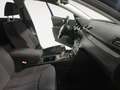 Volkswagen Passat Edition Plus Negro - thumbnail 10
