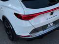 CUPRA Formentor 1.5TSI Weiß - thumbnail 12