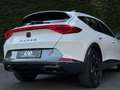 CUPRA Formentor 1.5TSI Weiß - thumbnail 6