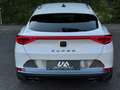 CUPRA Formentor 1.5TSI Weiß - thumbnail 9