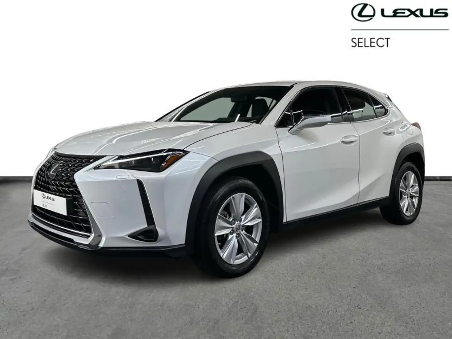 Lexus UX 250h 184pk + navi/carplay/ACC Blanco - 1