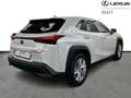 Lexus UX 250h 184pk + navi/carplay/ACC Blanco - thumbnail 17