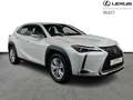 Lexus UX 250h 184pk + navi/carplay/ACC Blanco - thumbnail 18