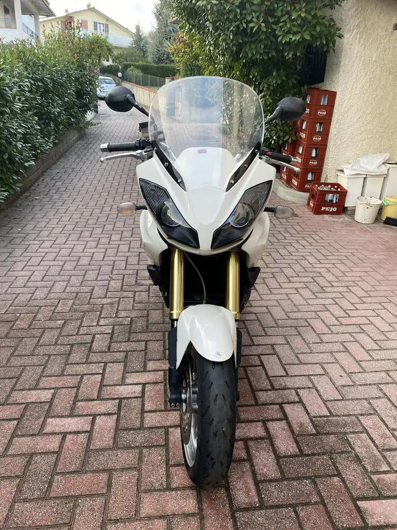 Triumph Tiger 1050 Standard - 2