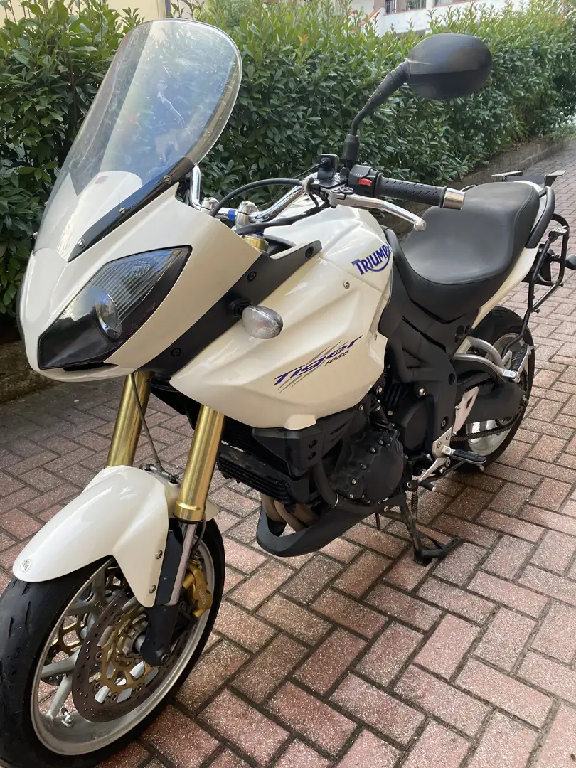 Triumph Tiger 1050 Standard - 1